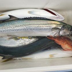 海龍丸（石川） 釣果