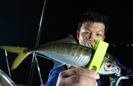 シースナイパー海龍 釣果