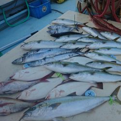 宝生丸 釣果