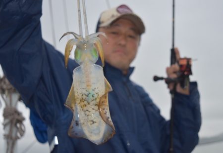 渡船屋たにぐち 釣果