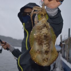 渡船屋たにぐち 釣果