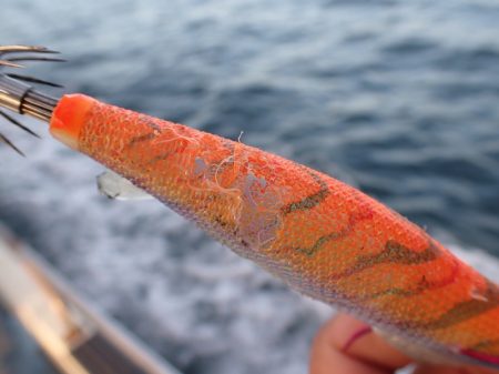 龍神丸（鹿児島） 釣果