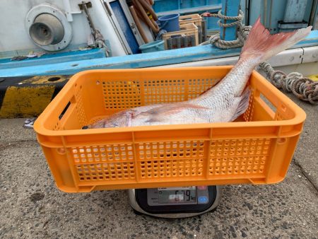 みやけ丸 釣果