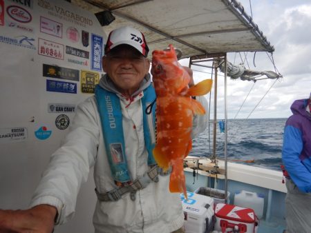 きずなまりん 釣果