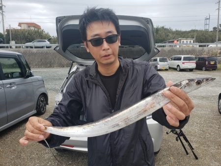 丸万釣船 釣果