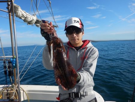 きずなまりん 釣果