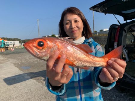 ぽん助丸 釣果