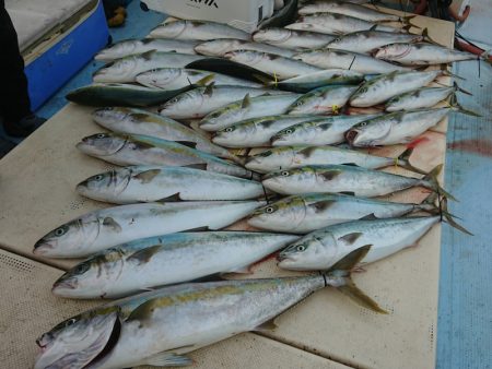 宝生丸 釣果