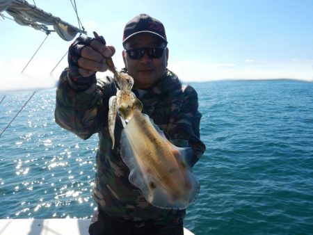 きずなまりん 釣果