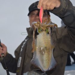 渡船屋たにぐち 釣果