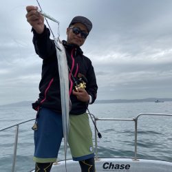 Chase（チェイス） 釣果