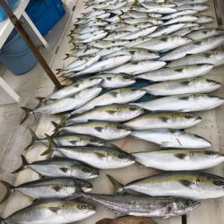 大雄丸 釣果