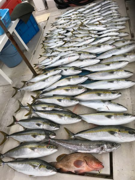 大雄丸 釣果