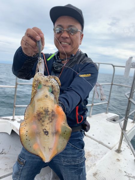 エヌスタイル 釣果