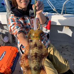 エヌスタイル 釣果