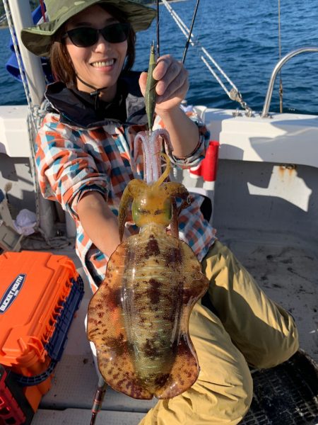 エヌスタイル 釣果