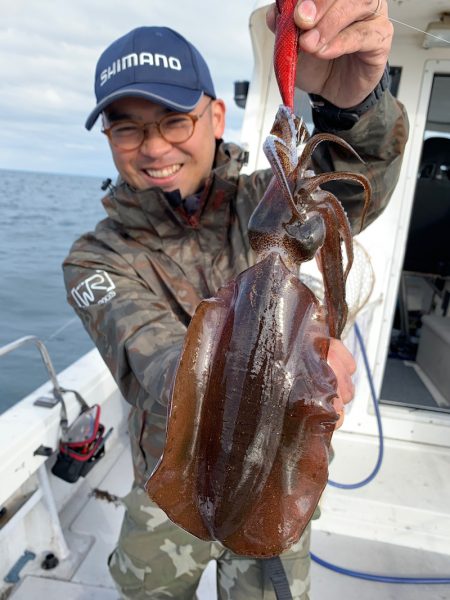 エヌスタイル 釣果