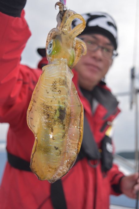 渡船屋たにぐち 釣果