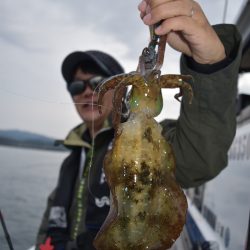 渡船屋たにぐち 釣果