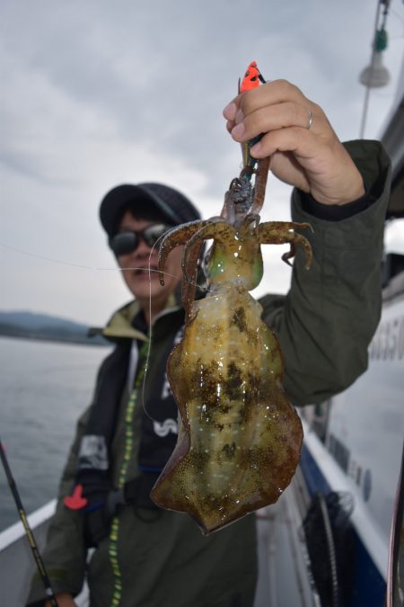 渡船屋たにぐち 釣果