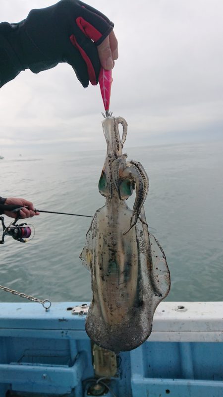 幸栄丸 釣果