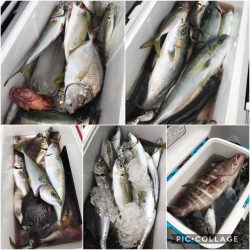 もと明丸 釣果