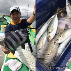 もと明丸 釣果