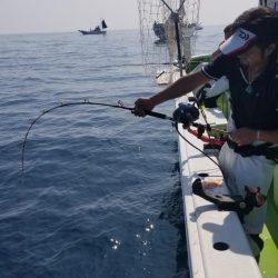 ゆたか丸 釣果