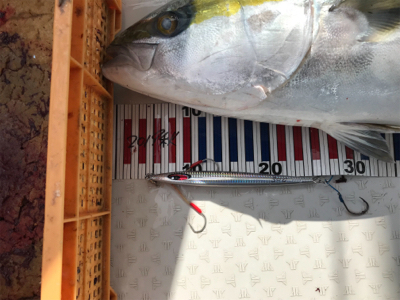 ビックファイター釣行　シマノ5番ぶち曲げました