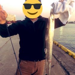 船橋港 太刀魚90cm