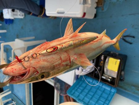 青物狙いのアジ飲ませ