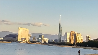 2019年11月30日釣行in姪浜漁港周辺