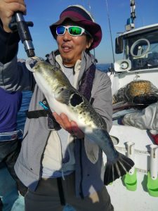 東京湾探釣隊ぼっち 釣果