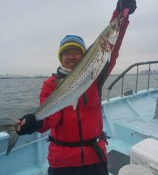 東京湾探釣隊ぼっち 釣果