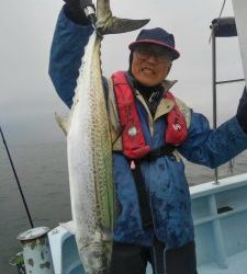 東京湾探釣隊ぼっち 釣果