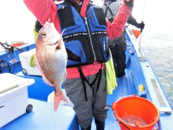 鯛紅丸 釣果