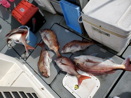 珀宝丸 釣果