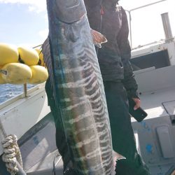 だて丸 釣果