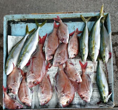 明神釣船 釣果