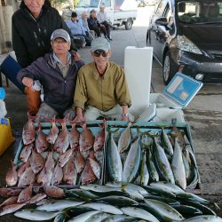 明神釣船 釣果