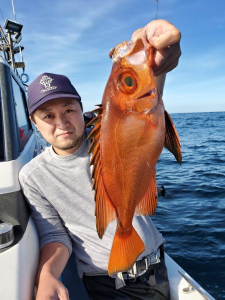 珀宝丸 釣果