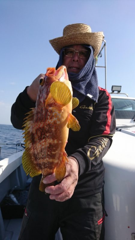 海龍丸（福岡） 釣果