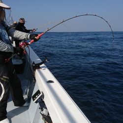 海龍丸（福岡） 釣果