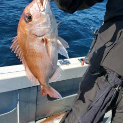 珀宝丸 釣果