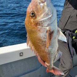 珀宝丸 釣果