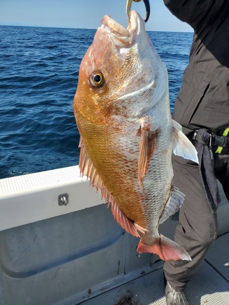 珀宝丸 釣果