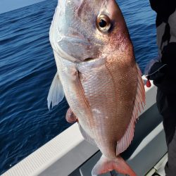 珀宝丸 釣果