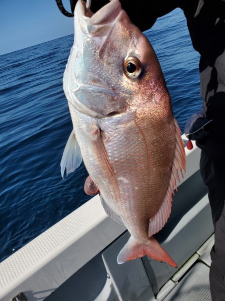 珀宝丸 釣果