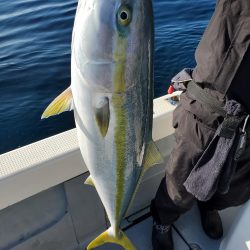 珀宝丸 釣果