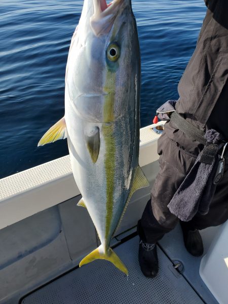 珀宝丸 釣果